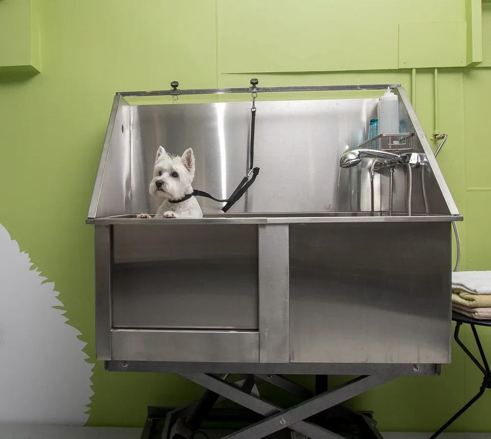The signature electric lift bath — stainless steel tub with scissor-lift mechanism against the green panelled wall, towels on a table at right