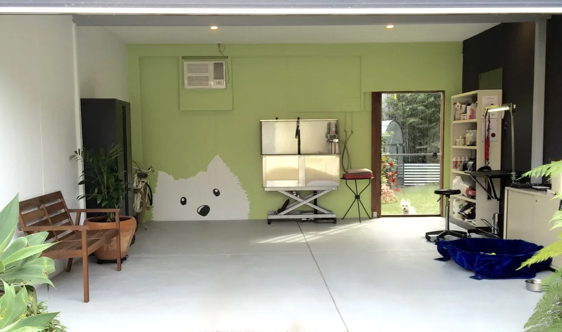 Full salon interior — lime-green wall with white Westie-face mural, stainless electric lift bath, wooden bench, potted plants and open garden door